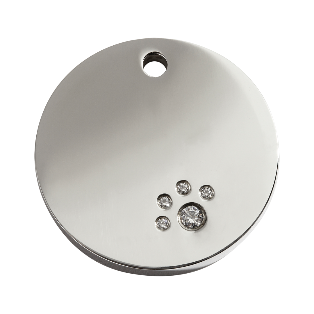 https://cdn.warentuin.nl/media/catalog/product/S/C/SCAN9330725055308_reddingo_hondenpenning_circle_swarovski_hondenpenning_large_r_f6ee.png