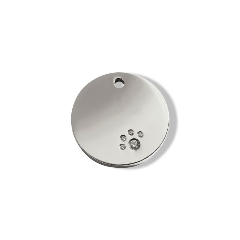 https://cdn.warentuin.nl/media/catalog/product/S/C/SCAN9330725055322_01_reddingo_circle_swarovski_hondenpenning_smal_1501.jpg