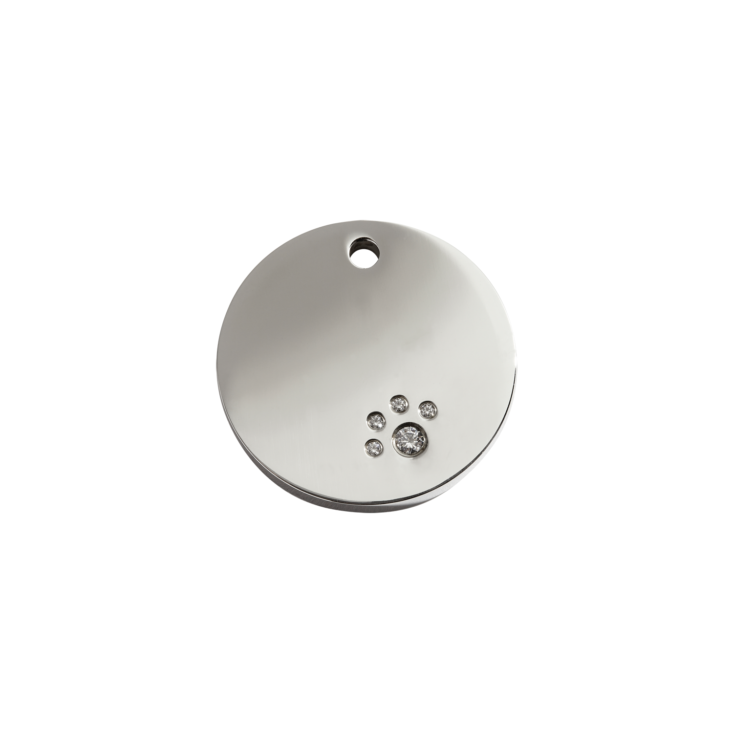 https://cdn.warentuin.nl/media/catalog/product/S/C/SCAN9330725055322_reddingo_hondenpenning_circle_swarovski_hondenpenning_small_r_563d.png