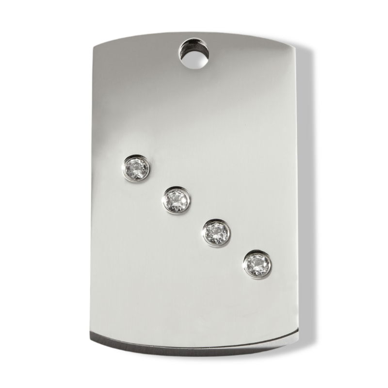 https://cdn.warentuin.nl/media/catalog/product/S/C/SCAN9330725055377_01_reddingo_rectangle_swarovski_hondenpenning_l_af0f.jpg