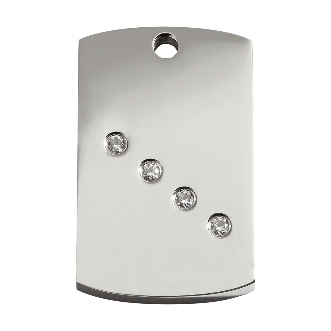 https://cdn.warentuin.nl/media/catalog/product/S/C/SCAN9330725055377_reddingo_hondenpenning_rectangle_swarovski_hondenpenning_larg_ddcf.png