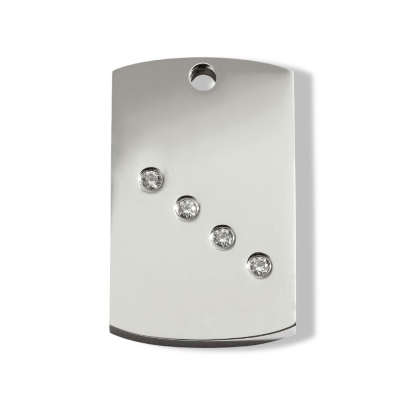 https://cdn.warentuin.nl/media/catalog/product/S/C/SCAN9330725055384_01_reddingo_rectangle_swarovski_hondenpenning_m_7e2b.jpg
