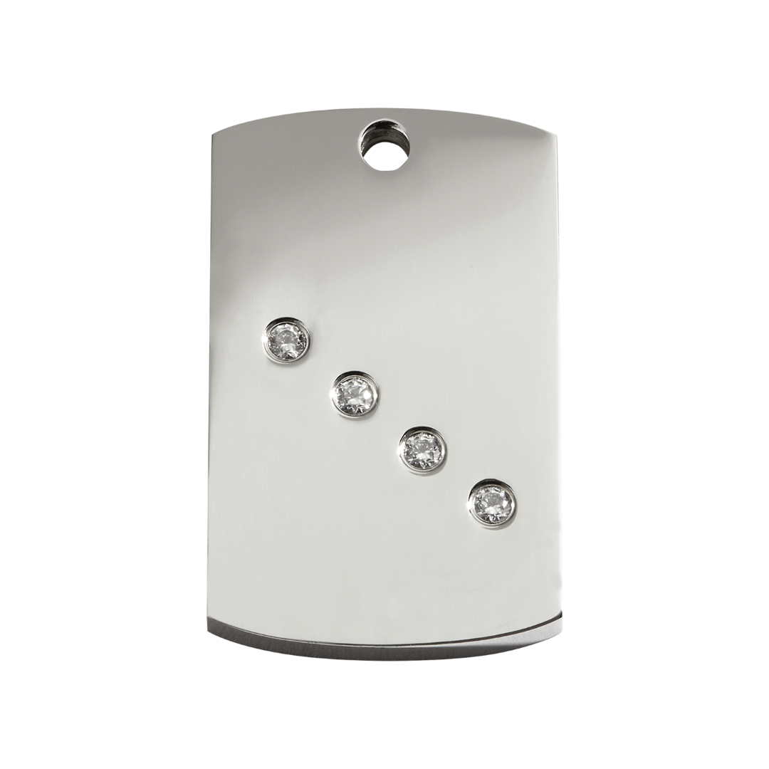 https://cdn.warentuin.nl/media/catalog/product/S/C/SCAN9330725055384_reddingo_hondenpenning_rectangle_swarovski_hondenpenning_medi_b9a3.png