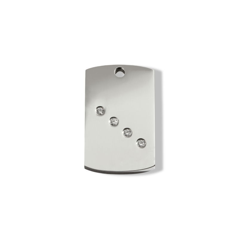https://cdn.warentuin.nl/media/catalog/product/S/C/SCAN9330725055391_01_reddingo_rectangle_swarovski_hondenpenning_s_87de.jpg