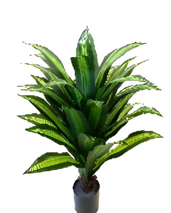 https://cdn.warentuin.nl/media/catalog/product/S/C/SCAN9900001769078_dracaena_groen_100_cm_kunstplant_oosterik_home_b420.jpg