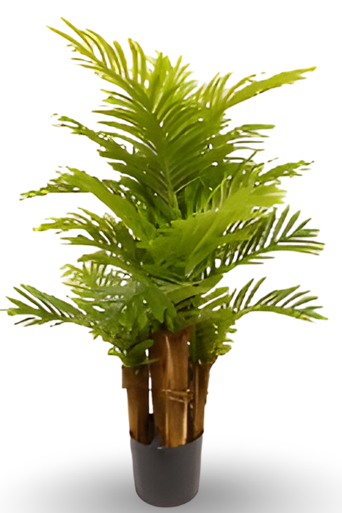 https://cdn.warentuin.nl/media/catalog/product/S/C/SCAN9900001769085_01_b068.png