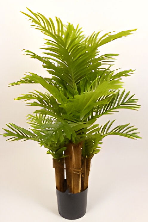 https://cdn.warentuin.nl/media/catalog/product/S/C/SCAN9900001769085_mini_palm_110_cm_kunstplant_oosterik_home_110d.jpg