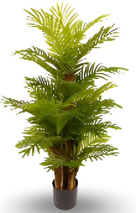 https://cdn.warentuin.nl/media/catalog/product/S/C/SCAN9900001769092_01_4205.png