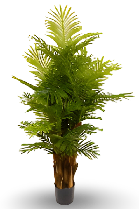 https://cdn.warentuin.nl/media/catalog/product/S/C/SCAN9900001769108_01_f076.png