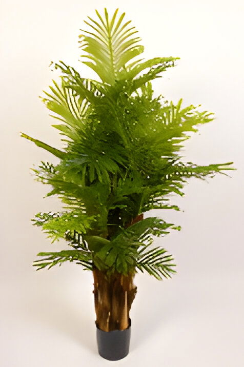 https://cdn.warentuin.nl/media/catalog/product/S/C/SCAN9900001769108_mini_palm_160_cm_kunstplant_oosterik_home_1d03.jpg