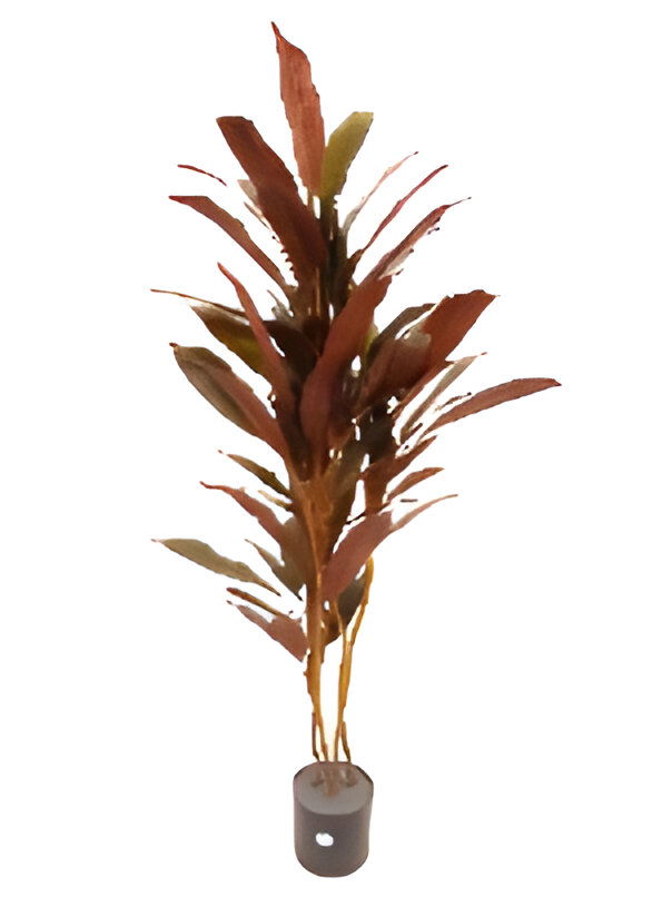 https://cdn.warentuin.nl/media/catalog/product/S/C/SCAN9900001769115_dracaena_rood_150_cm_kunstplant_oosterik_home_bab4.jpg
