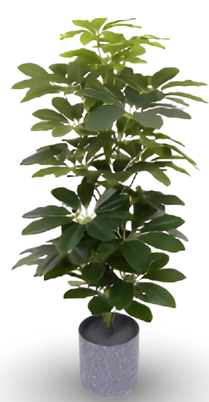 https://cdn.warentuin.nl/media/catalog/product/S/C/SCAN9900001769160_01_8071.png