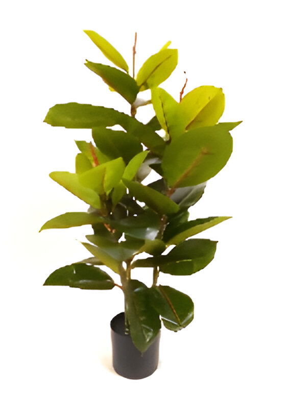 https://cdn.warentuin.nl/media/catalog/product/S/C/SCAN9900001769207_rubberboom_90_cm_kunstplant_oosterik_home_ba33.jpg