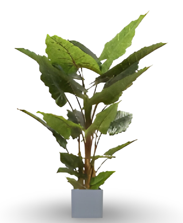 https://cdn.warentuin.nl/media/catalog/product/S/C/SCAN9900001769252_01_4c96.png