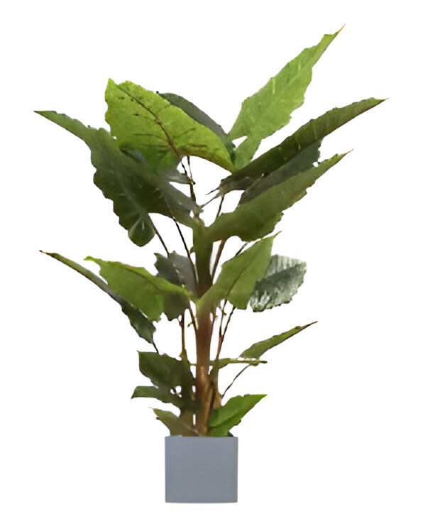 https://cdn.warentuin.nl/media/catalog/product/S/C/SCAN9900001769252_allocasia_groen_140_cm_kunstplant_oosterik_home_6eaf.jpg