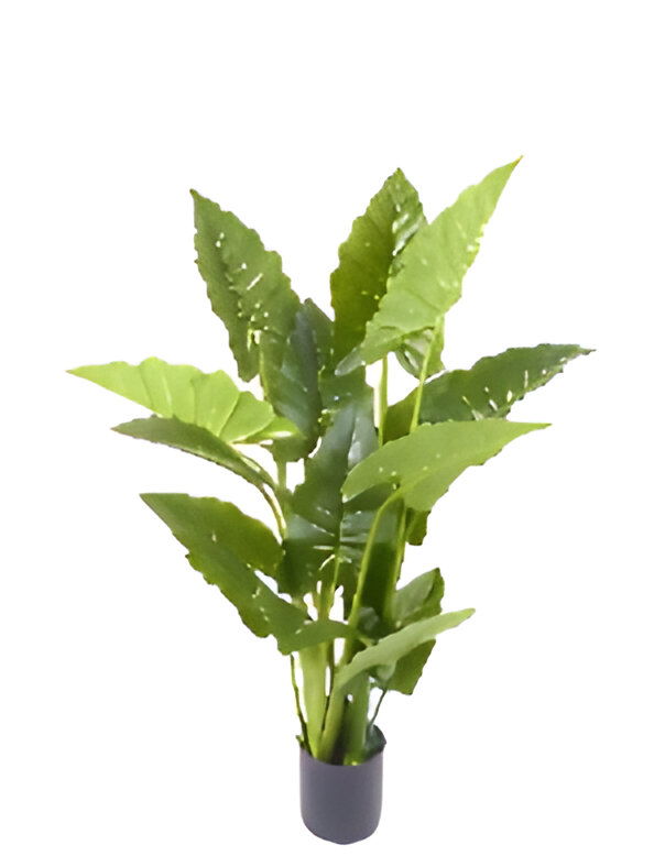 https://cdn.warentuin.nl/media/catalog/product/S/C/SCAN9900001769269_allocasia_groen_110_cm_kunstplant_oosterik_home_83f8.jpg