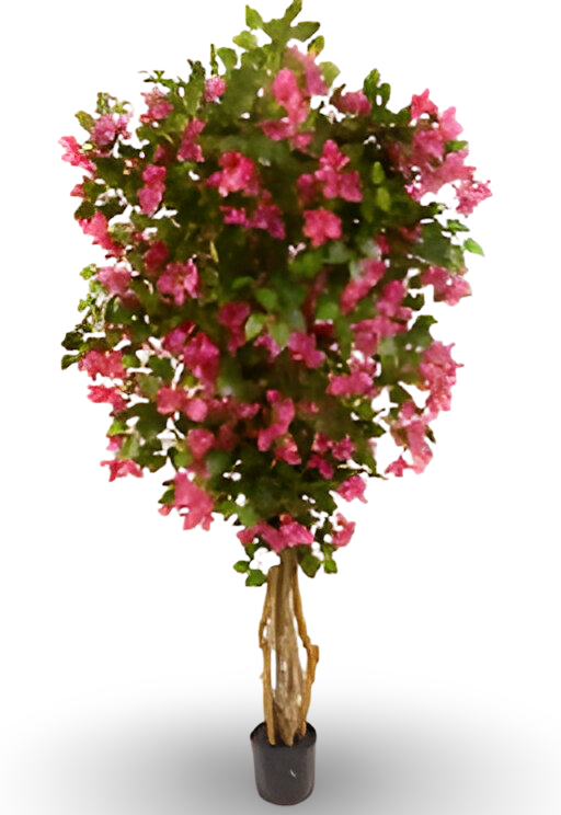 https://cdn.warentuin.nl/media/catalog/product/S/C/SCAN9900001769283_01_f1e3.png