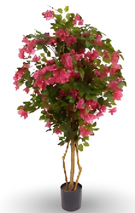 https://cdn.warentuin.nl/media/catalog/product/S/C/SCAN9900001769290_01_25b0.png