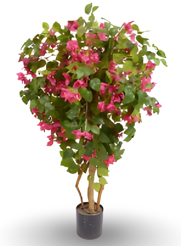 https://cdn.warentuin.nl/media/catalog/product/S/C/SCAN9900001769306_01_df0c.png