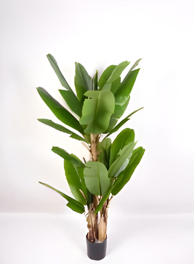 https://cdn.warentuin.nl/media/catalog/product/S/C/SCAN9900001769313_bananenboom_180_cm_kunstplant_oosterik_home_01be.jpg