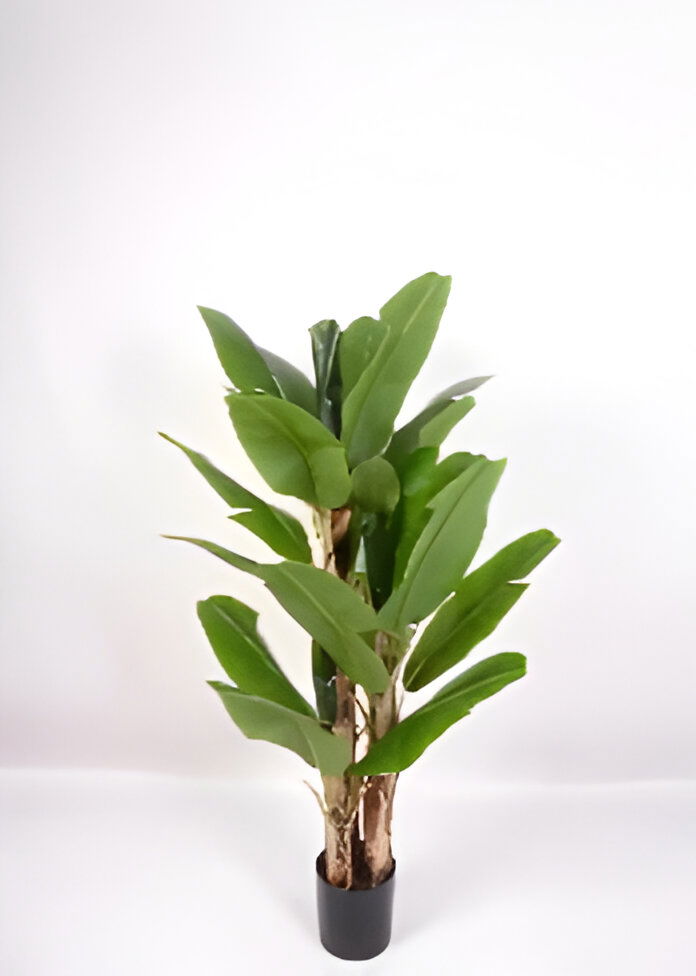 https://cdn.warentuin.nl/media/catalog/product/S/C/SCAN9900001769320_bananenboom_150_cm_kunstplant_oosterik_home_c046.jpg