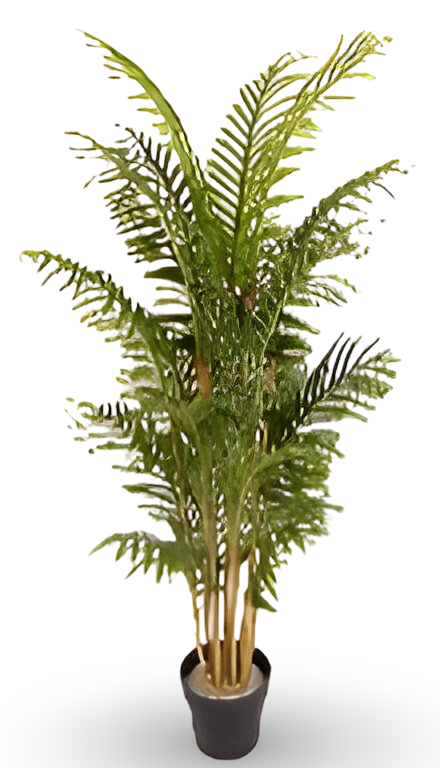 https://cdn.warentuin.nl/media/catalog/product/S/C/SCAN9900001769344_01_03bf.png