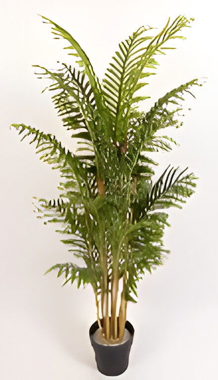 https://cdn.warentuin.nl/media/catalog/product/S/C/SCAN9900001769344_bamboo_palm_150_cm_kunstplant_oosterik_home_621c.jpg
