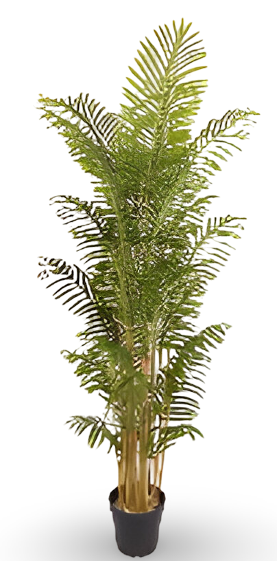 https://cdn.warentuin.nl/media/catalog/product/S/C/SCAN9900001769351_01_7d94.png