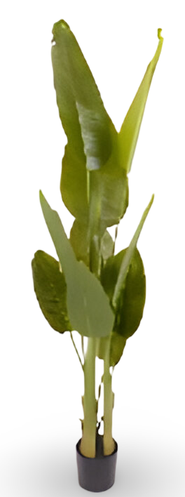 https://cdn.warentuin.nl/media/catalog/product/S/C/SCAN9900001769375_01_490d.png