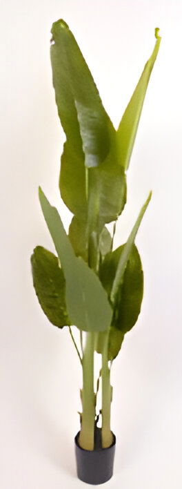 https://cdn.warentuin.nl/media/catalog/product/S/C/SCAN9900001769375_trave_palm_180_cm_kunstplant_oosterik_home_5f21.jpg