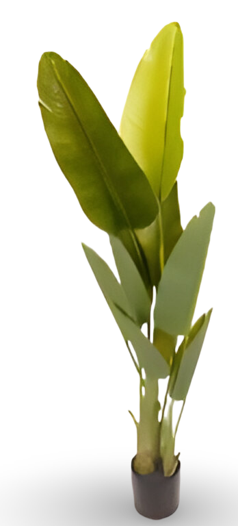 https://cdn.warentuin.nl/media/catalog/product/S/C/SCAN9900001769382_01_c8ca.png