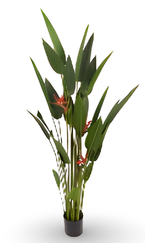 https://cdn.warentuin.nl/media/catalog/product/S/C/SCAN9900001769399_01_85f0.png