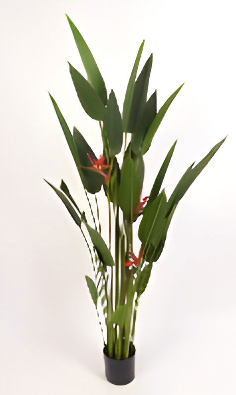 https://cdn.warentuin.nl/media/catalog/product/S/C/SCAN9900001769399_strelitzie_180_cm_kunstplant_oosterik_home_76f8.jpg