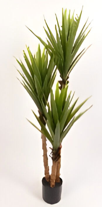 https://cdn.warentuin.nl/media/catalog/product/S/C/SCAN9900001769405_yucca_150_cm_kunstplant_oosterik_home_b108.jpg