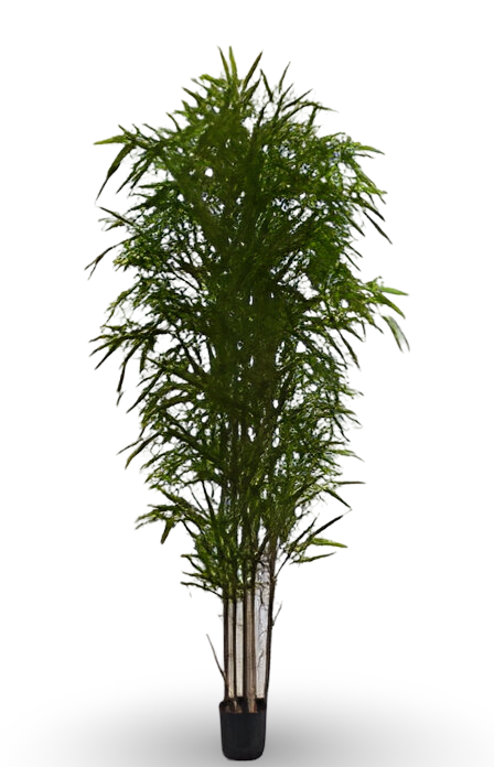 https://cdn.warentuin.nl/media/catalog/product/S/C/SCAN9900001769436_01_653d.png