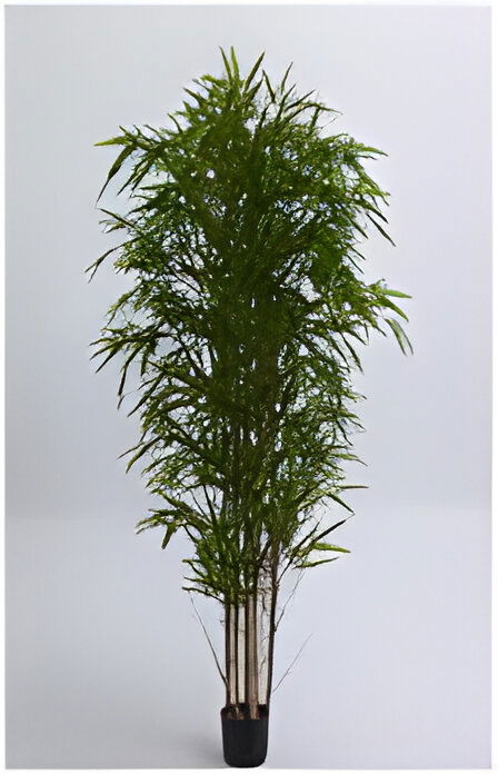 https://cdn.warentuin.nl/media/catalog/product/S/C/SCAN9900001769436_bamboo_150_cm_kunstplant_oosterik_home_1dc7.jpg
