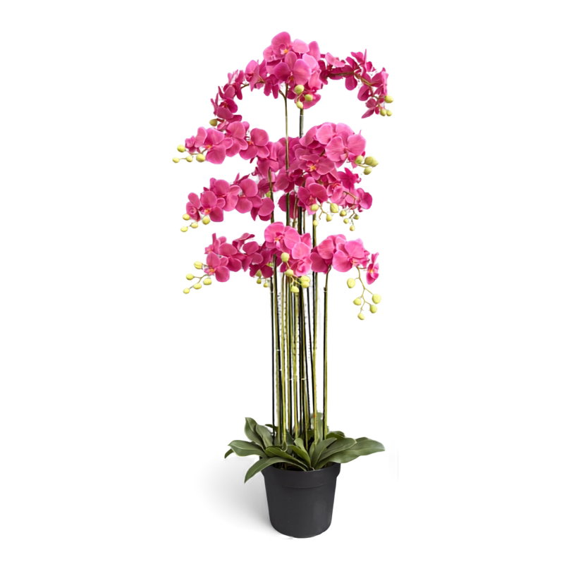 https://cdn.warentuin.nl/media/catalog/product/S/C/SCAN9900001968617_orchidee_fuchsia_in_pot_h_160_cm_kunstplan_56e4.jpg