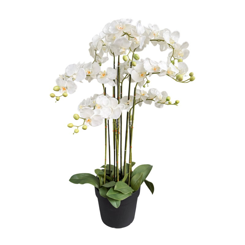 https://cdn.warentuin.nl/media/catalog/product/S/C/SCAN9900001968655_orchidee_wit_in_pot_h_110_cm_kunstplant_oo_6edb.jpg