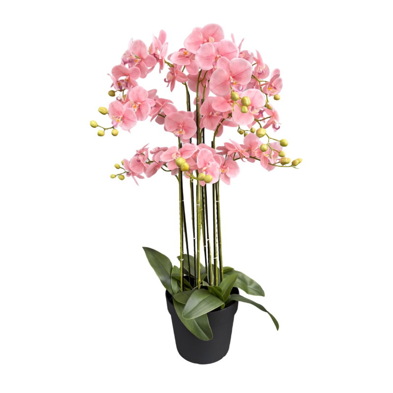 https://cdn.warentuin.nl/media/catalog/product/S/C/SCAN9900001968662_orchidee_new_pink_in_pot_h_110_cm_kunstpla_6fda.jpg