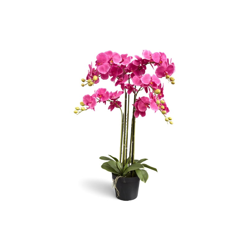 https://cdn.warentuin.nl/media/catalog/product/S/C/SCAN9900001968686_orchidee_fuchsia_in_pot_h_85_cm_kunstplant_db72.jpg