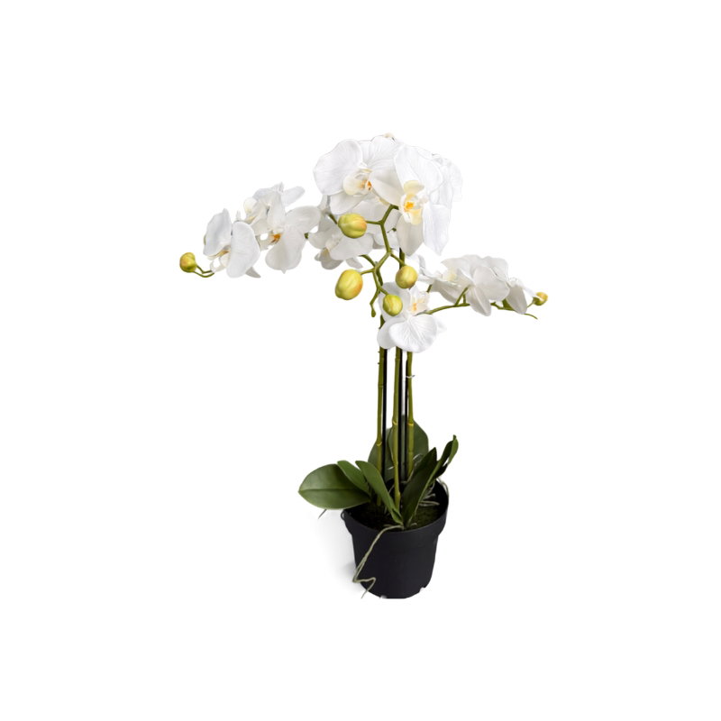 https://cdn.warentuin.nl/media/catalog/product/S/C/SCAN9900001968709_orchidee_wit_in_pot_h_60_cm_kunstplant_oos_8bbc.jpg