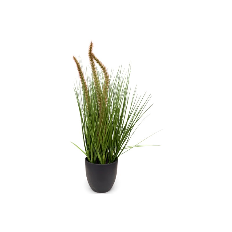 https://cdn.warentuin.nl/media/catalog/product/S/C/SCAN9900001971648_pennisetum_siergras_in_pot_h_50_cm_kunstpl_2320.jpg