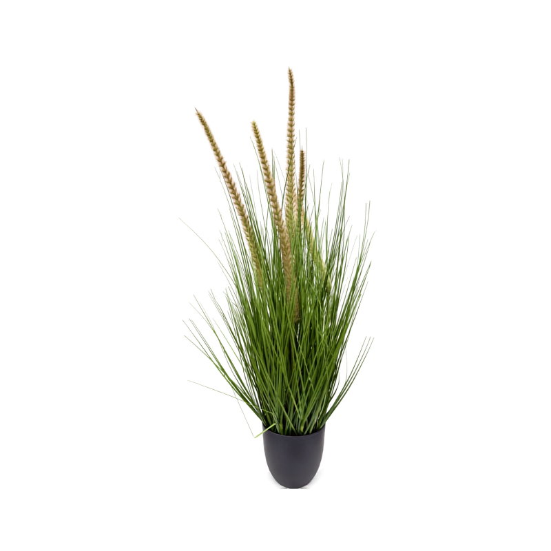 https://cdn.warentuin.nl/media/catalog/product/S/C/SCAN9900001971662_pennisetum_siergras_in_pot_h_85_cm_kunstpl_68cc.jpg