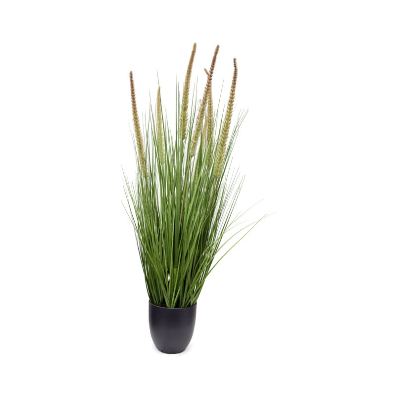 https://cdn.warentuin.nl/media/catalog/product/S/C/SCAN9900001971679_pennisetum_siergras_in_pot_h_104_cm_kunstp_a329.jpg