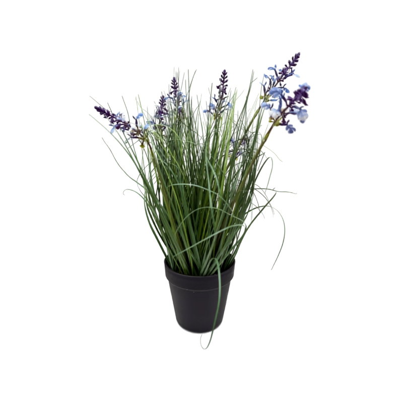 https://cdn.warentuin.nl/media/catalog/product/S/C/SCAN9900001971716_lavendel_paars_siergras_in_pot_h_50_cm_kun_17e1.jpg