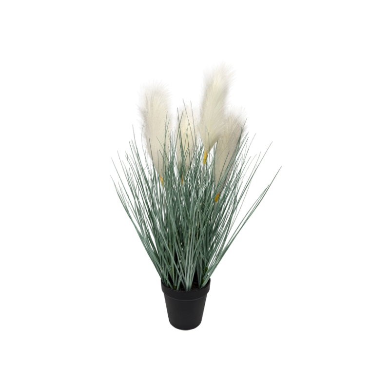 https://cdn.warentuin.nl/media/catalog/product/S/C/SCAN9900001971747_pampasgras_wit_h_60_cm_kunstplant_oosterik_4cf9.jpg