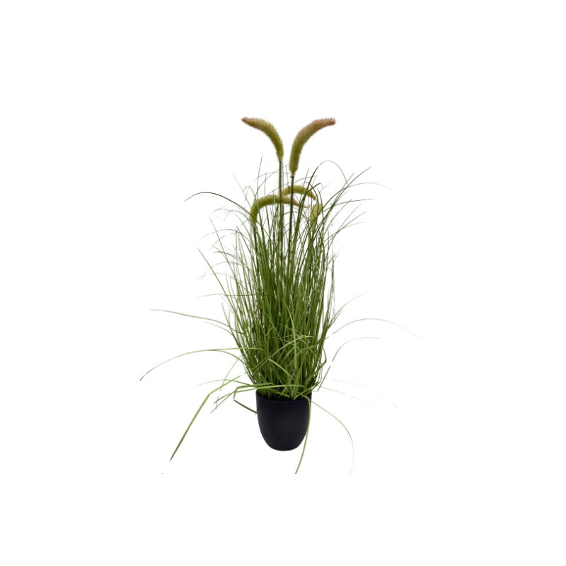 https://cdn.warentuin.nl/media/catalog/product/S/C/SCAN9900001971754_pluimgras_beige_h_66_cm_kunstplant_oosteri_d9a0.jpg