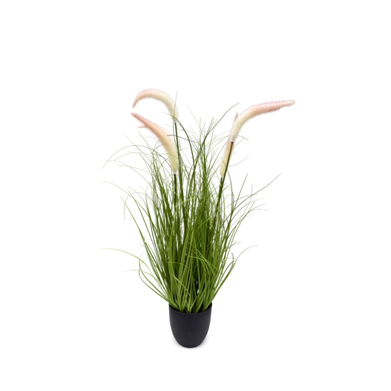 https://cdn.warentuin.nl/media/catalog/product/S/C/SCAN9900001971785_pluimgras_wit_h_66_cm_kunstplant_oosterik__0eb4.jpg