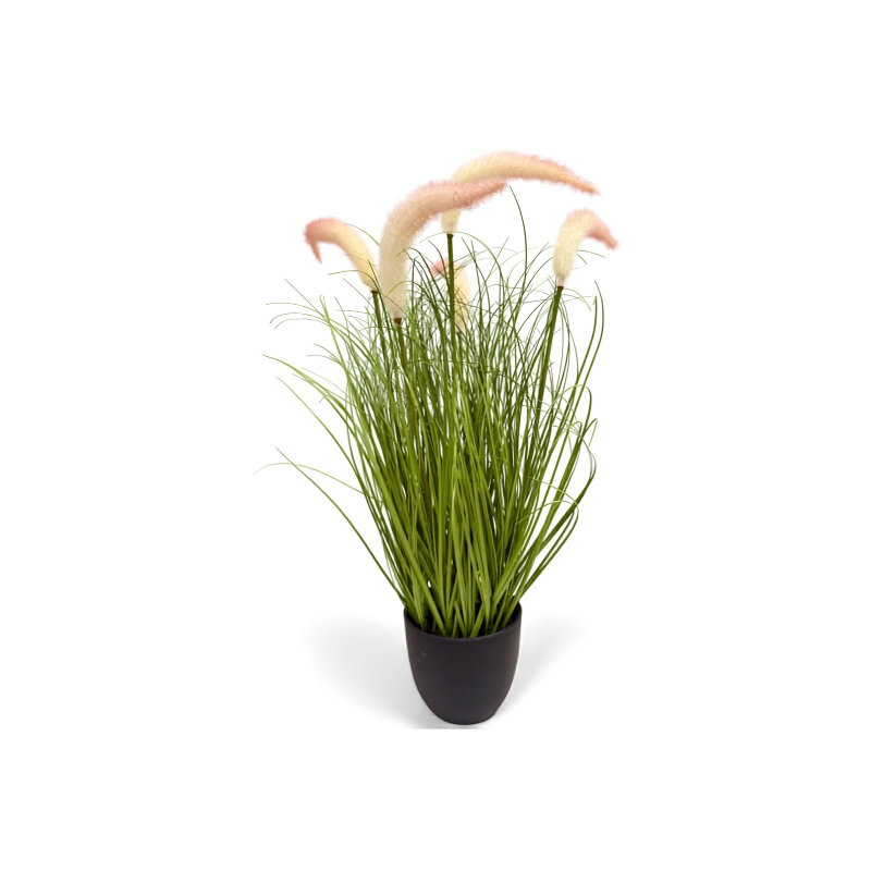 https://cdn.warentuin.nl/media/catalog/product/S/C/SCAN9900001971808_pluimgras_perzik_h_50_cm_kunstplant_ooster_deee.jpg