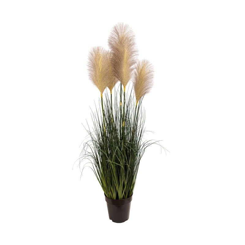 https://cdn.warentuin.nl/media/catalog/product/S/C/SCAN9900001971914_pampasgras_perzik_h_110_cm_kunstplant_oost_fafc.jpg